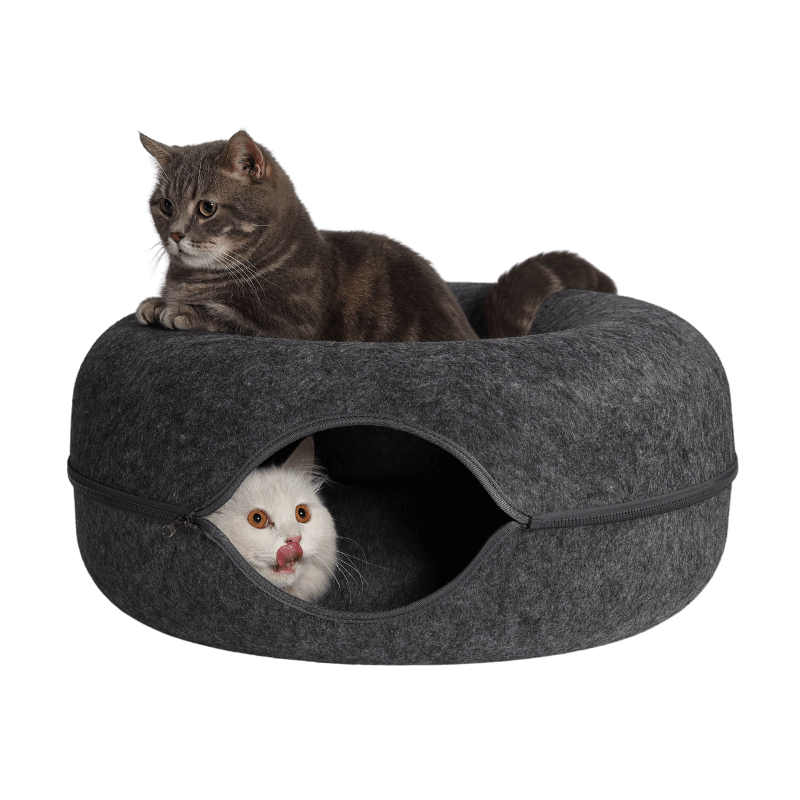 ShedFree™ Hideaway Haven Cat Cave