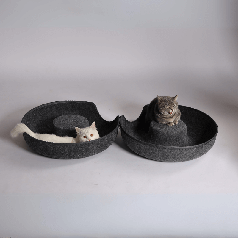 ShedFree™ Hideaway Haven Cat Cave